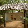 Wallmounts - Auroville near Pondicherry